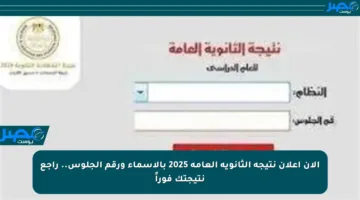 الآن إعلان نتيجة الثانوية العامة 2025 بالأسماء ورقم الجلوس.. راجع نتيجتك فوراً